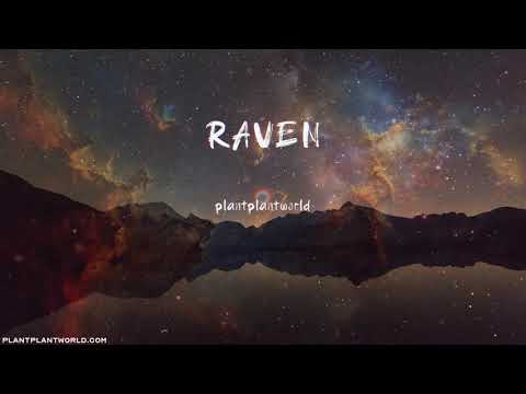 [FREE] 창모 X 애쉬아일랜드 타입 비트 / Raven (prod. PLNT) / Type Beat