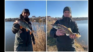 Водоем для рыбалки одесса