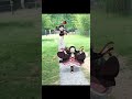 Demon Slayer Meme