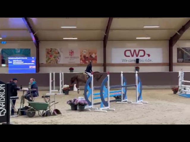 Jumping class offspring Petron Keysershof (Panenka de Kalvarie) out of the broodmare Esperanza.