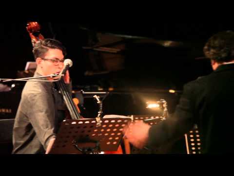 Trame XI (2011), Martin Matalon / ensemble soundinitiative