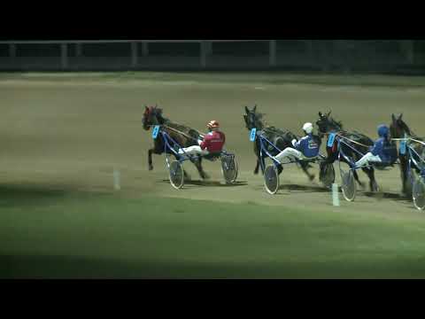 2018.11.17. 07. futam - MÉNESEK DÍJA