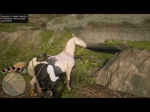 Domando al andaluz perlino