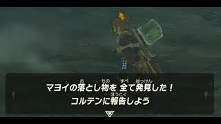 コルテンの夢 【ゼルダの伝説 ティアーズオブザキングダム】【ティアキン】