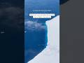 I know what I saw at the 14 sec mark 😮 #antarctica #frozen #icewall #leviathan #iceshelf #icesheet