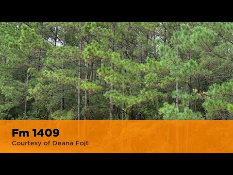 Fm 1409 Old River-Winfree, TX 77523 | Deana Fojt | Realtor Virtual Tour