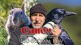 Wildlife photography with the Canon R50? It really is more amazing than you think and I LOVE it!! 💖