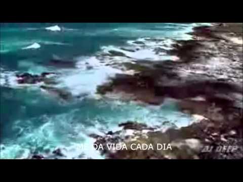Que Hermosa Es Tu Presencia video