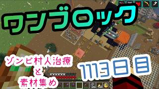 【１１１３日目】ワンブロックでハードコアな世界を生き残る