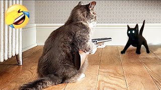 Funniest Cats and Dogs 🐱🐶TRY NOT TO LAUGH PT.4