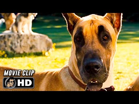 MARMADUKE Clip - "Home" (2010) Owen Wilson