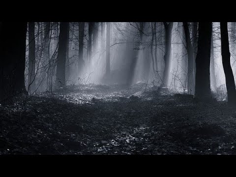 Wolf Quan - When I'm Bored [Lyric Video]