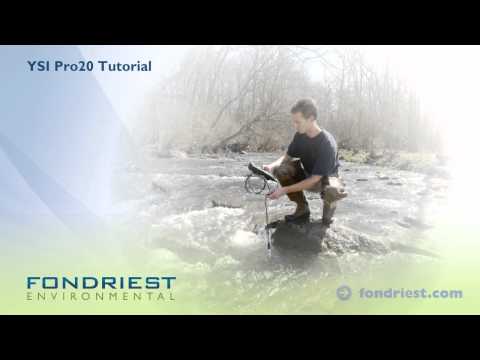 YSI Pro20 Dissolved Oxygen Meter