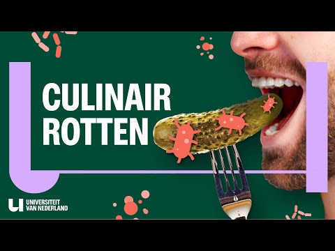 Waarom is gefermenteerd eten zo lekker?