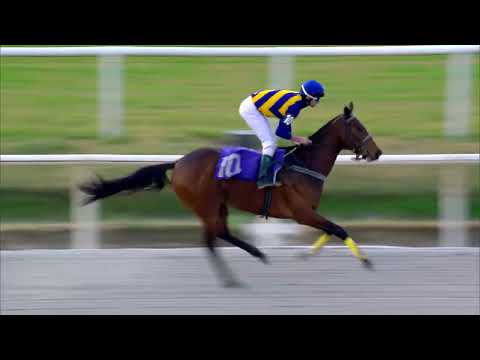 220625 c10 ARMA SECRETA