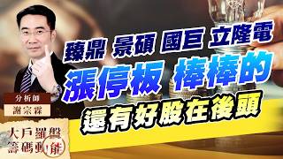 臻鼎 景碩 國巨 立隆電漲停板 棒棒的 還有好股在後頭｜大戶羅盤籌碼動能 ｜謝宗霖