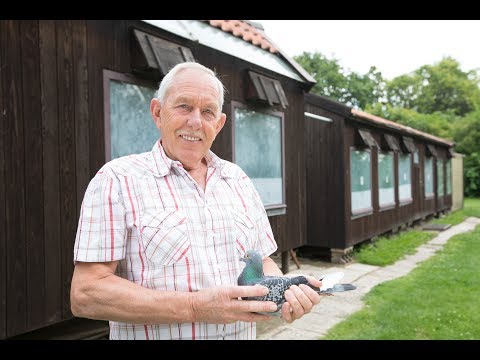 Nat. winnaars NPO 2017 - Dax: Ad Pegels (with English subtitles)