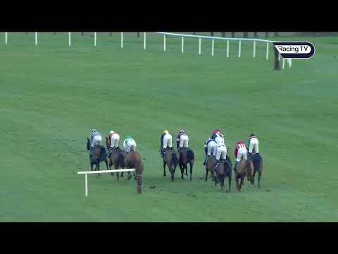 Champion Bumper hope? WESTERN DIEGO bolts up for Willie Mullins at Naas