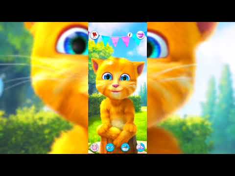 Tom the supermodel -- 5 😂🤣 funny Cat videos