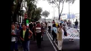 preview picture of video 'Xochimilco en contra la delincuencia(3)'