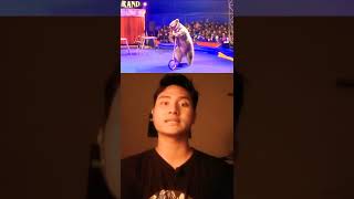 Download lagu MASHA & THE BEAR CONSPIRACY | SO SAD😱 #viraltiktok #mashaandthebear #shorts #shortvideo mp3