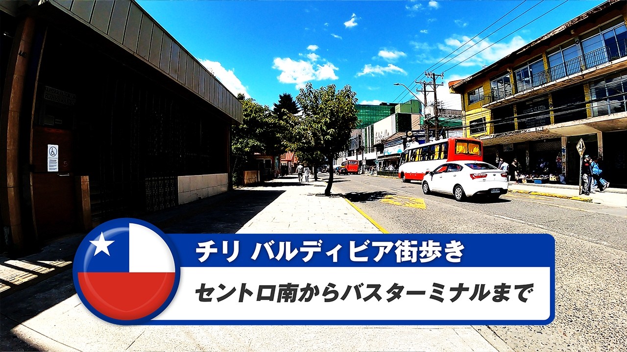 【チリ】バルディビア③セントロ南からバスターミナルまで