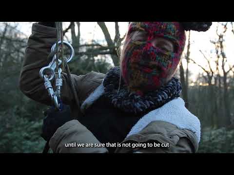 De bezetting van het Sterrebos