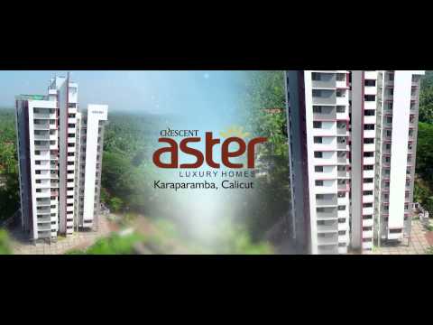 3D Tour Of Crescent Aster