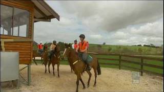 David Hayes Lindsay Park Sale.   2010.10.08