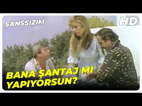 Şanssızım - Hamdi, Kerim'in Kız Arkadaşına Göz Koydu! | Cengiz Kurtoğlu Eski Türk Filmi