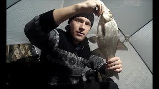 Ловля леща в челябинской обл