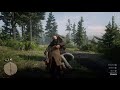 RDR2 | How to get someone to bleed to death | Quick video