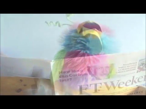 The Flickers  One Cool Million