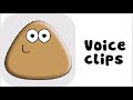 Pou S Voice