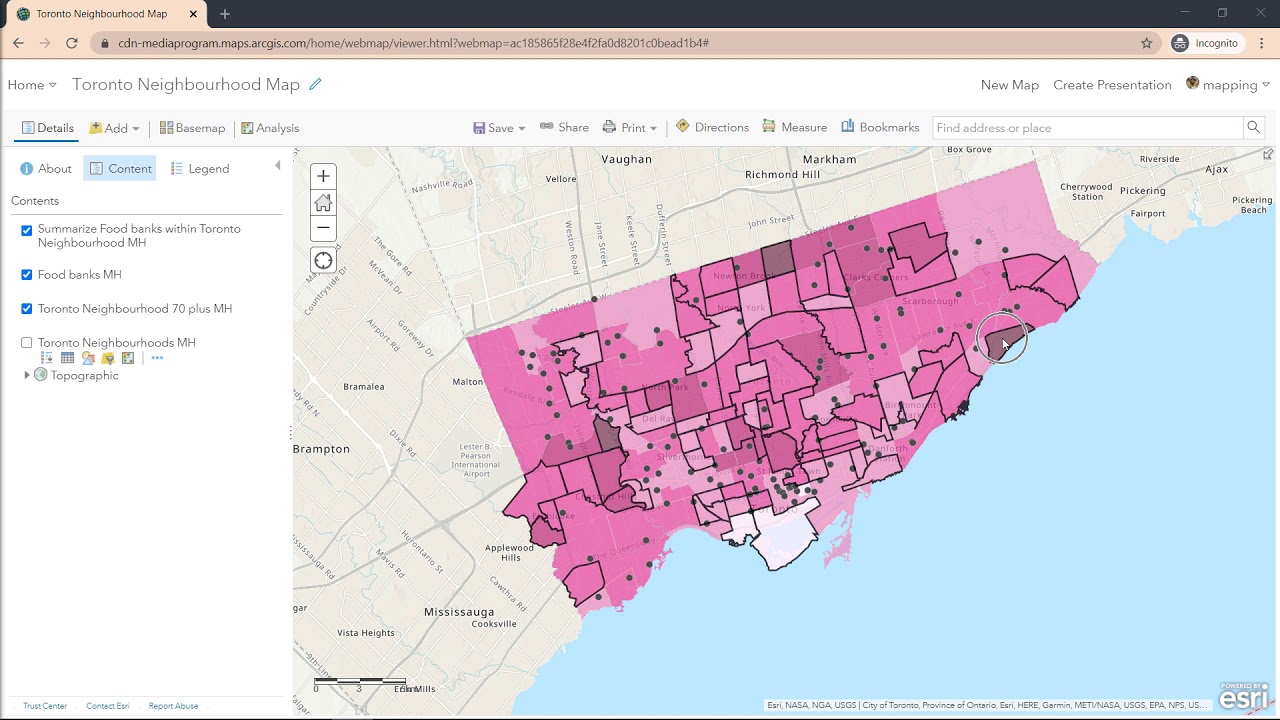 Performing Analysis in Map Viewer