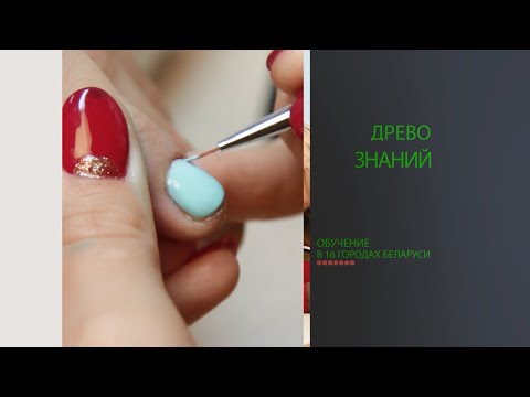 фото курсы древо знаний (16 городов + онлайн) 0