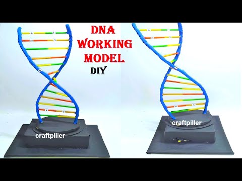 biogas plant working model 3d inspire science project howtofunda free electricity energy