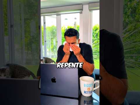 Murió Por Culpa De La Purpurina#Catsoftiktok #CatLovers #cat #cute #FunnyCats #catcartoon #fyp