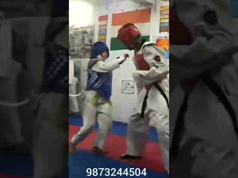 Taekwondo classes