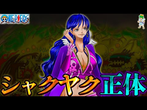 【ONE PIECE】ロックスが守った“海賊島の宝”="シャッキー説"...※考察&ネタバレ注意