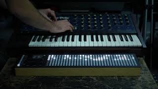 Video thumbnail for Polyend Seq & Korg MonoPoly by Polyend