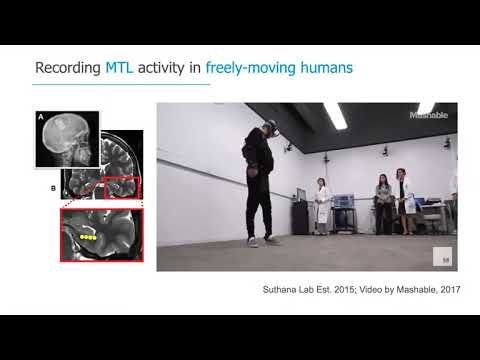 Innovators in Cognitive Neuroscience - Nanthia Suthana (2/16/2022)