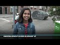 Kinderbloemen fleuren Rotterdamse wijk Bloemhof op