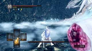 じょしゅとゲストでダークソウル Part 9