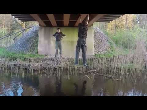 Film Naborowy (Baszta)