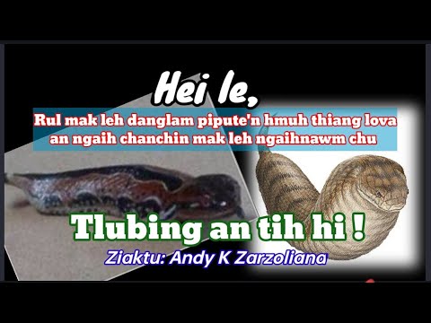 Tlubing an tih hi ! ( Rul hmuh thiang lo an tih chanchin mak leh ngaihnawm chu) || Andy K Zarzoliana