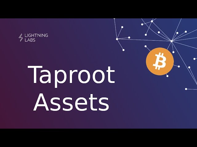 About Lightning Labs