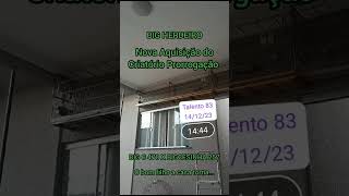 NOVA AQUISIÇÃO TALENTO 83 (BIG C 478 X BIG CESINHA 257)