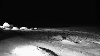 Kulgur Estonia 2018-02-07 after his dinner, Fox walk away to the left. Shot.