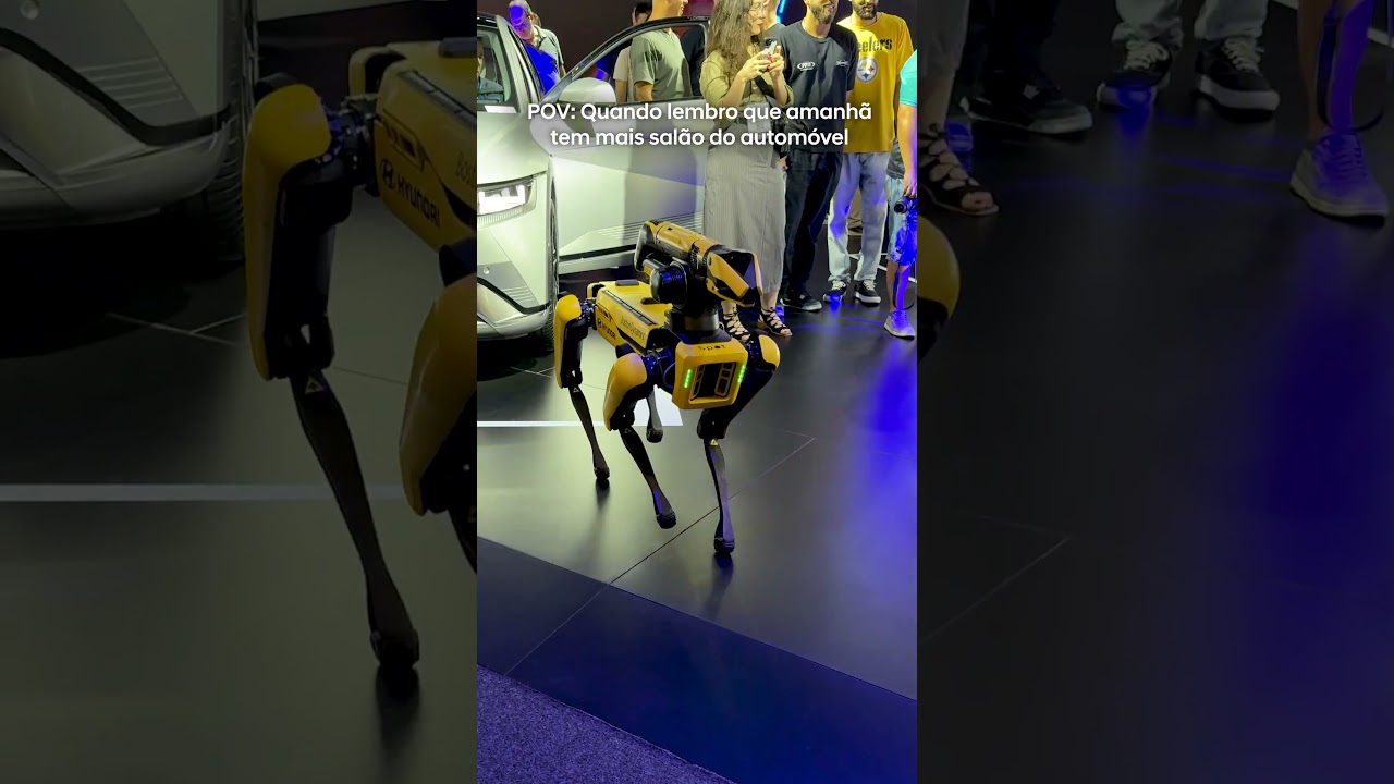 POV: Quando lembro que amanhã tem mais Salão do Automóvel